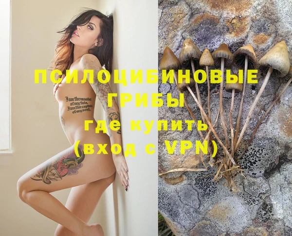 прущие крисы Заволжье